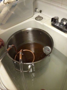 After the grainy water boiled for awhile, we added the hops in a half hour at a time, stirred, then immediately had to cool it off with a copper coil and ice surrounding the pot.